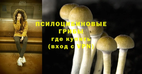 бошки Армянск