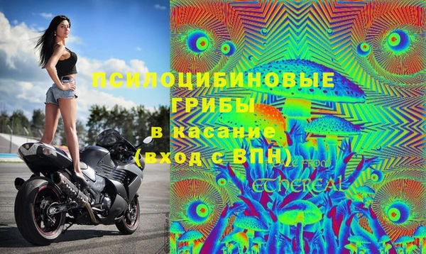jwh Аркадак