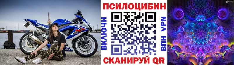 Галлюциногенные грибы Psilocybe Руза